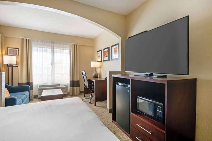 Comfort Suites Downtown