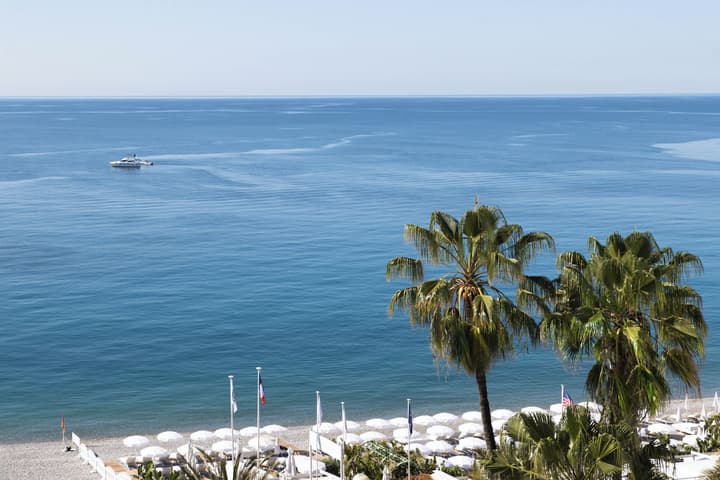 Hotel Le Negresco