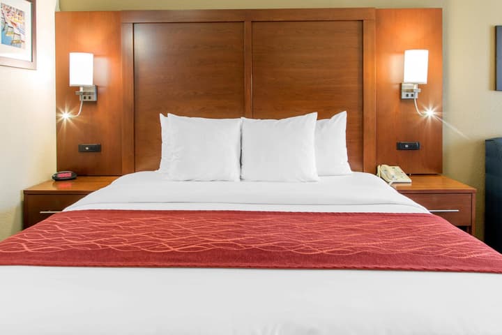 Comfort Inn and Suites San Francisco Airport North