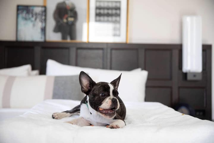 The Clift Royal Sonesta San Francisco