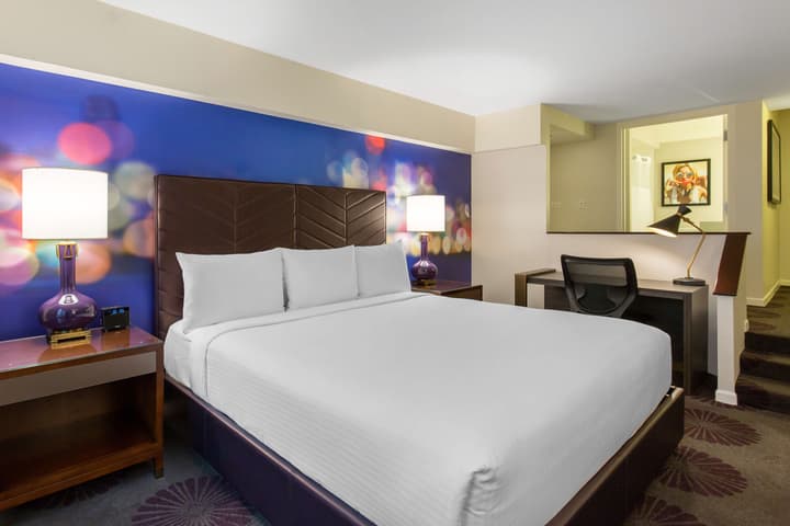 The Chicago Hotel Collection - Magnificent Mile