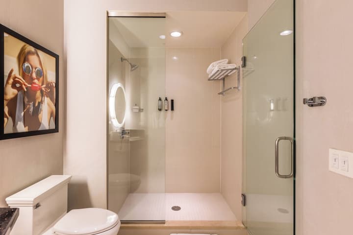 The Chicago Hotel Collection - Magnificent Mile