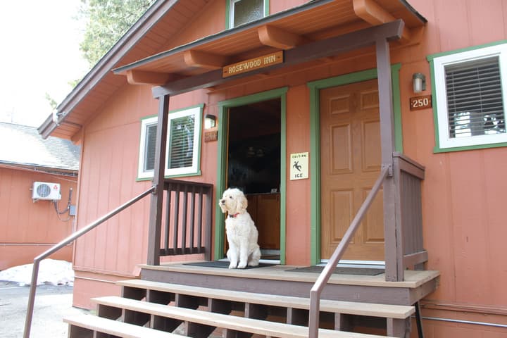 The Pines Resort