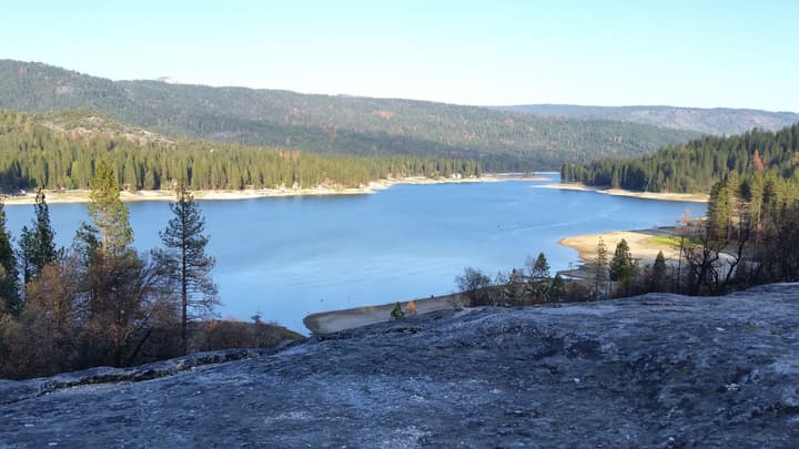 The Pines Resort