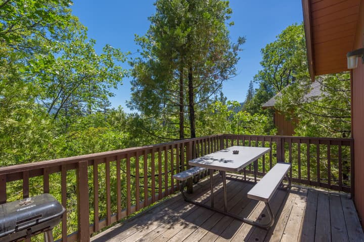 The Pines Resort