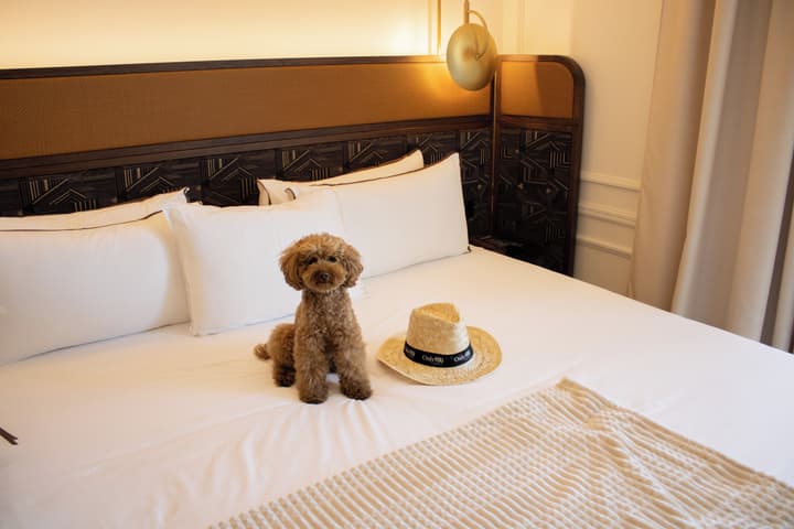 Only YOU Hotel Valencia