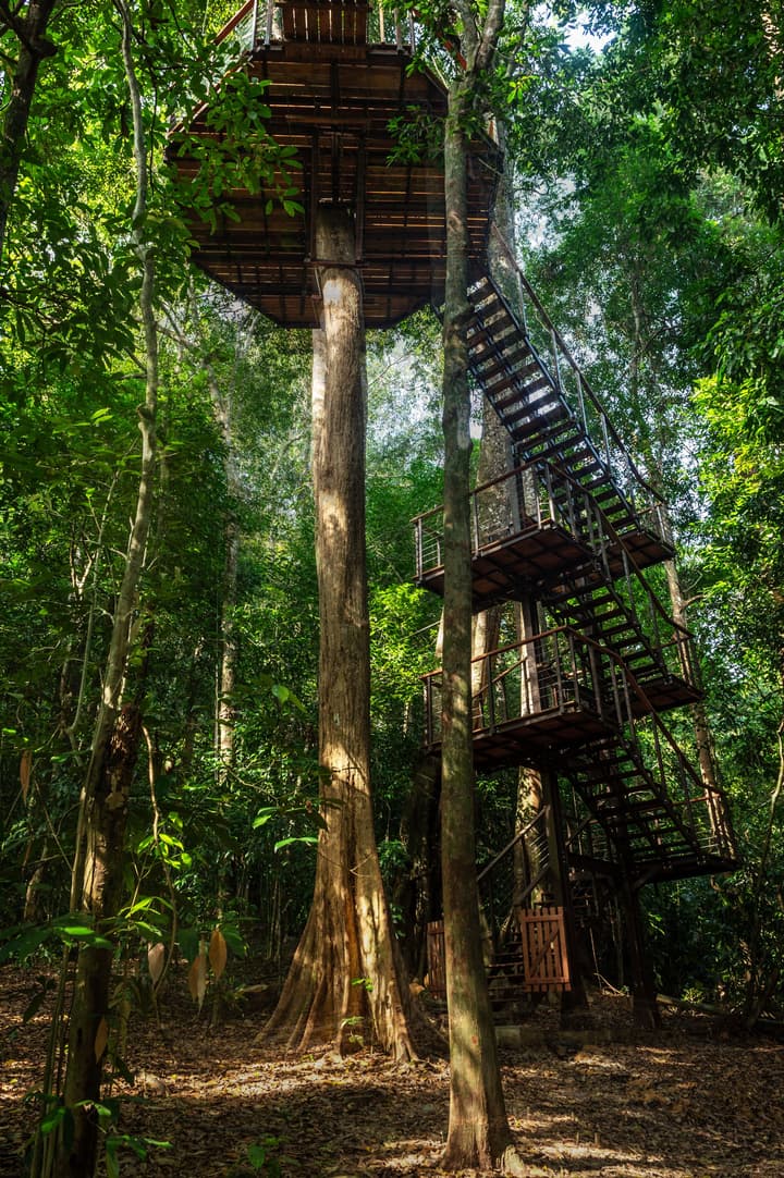The Datai Langkawi