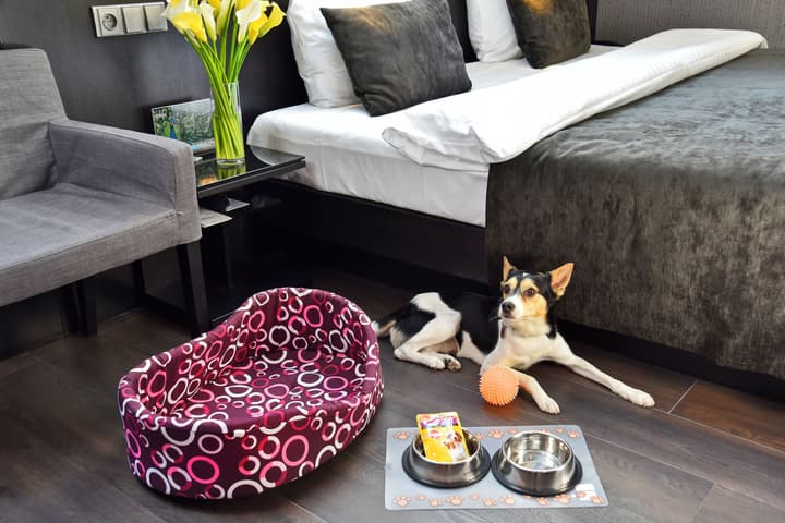 Hotel Ametyst