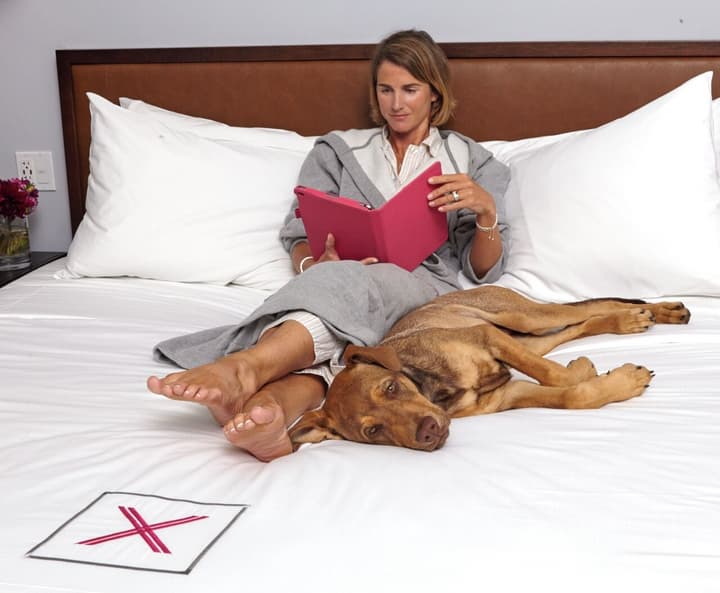 Axiom Hotel