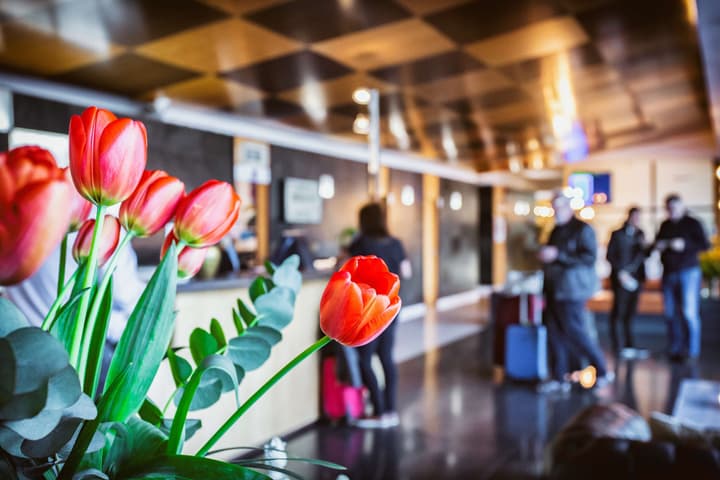 Best Western Plus Hotel Alfa Aeropuerto