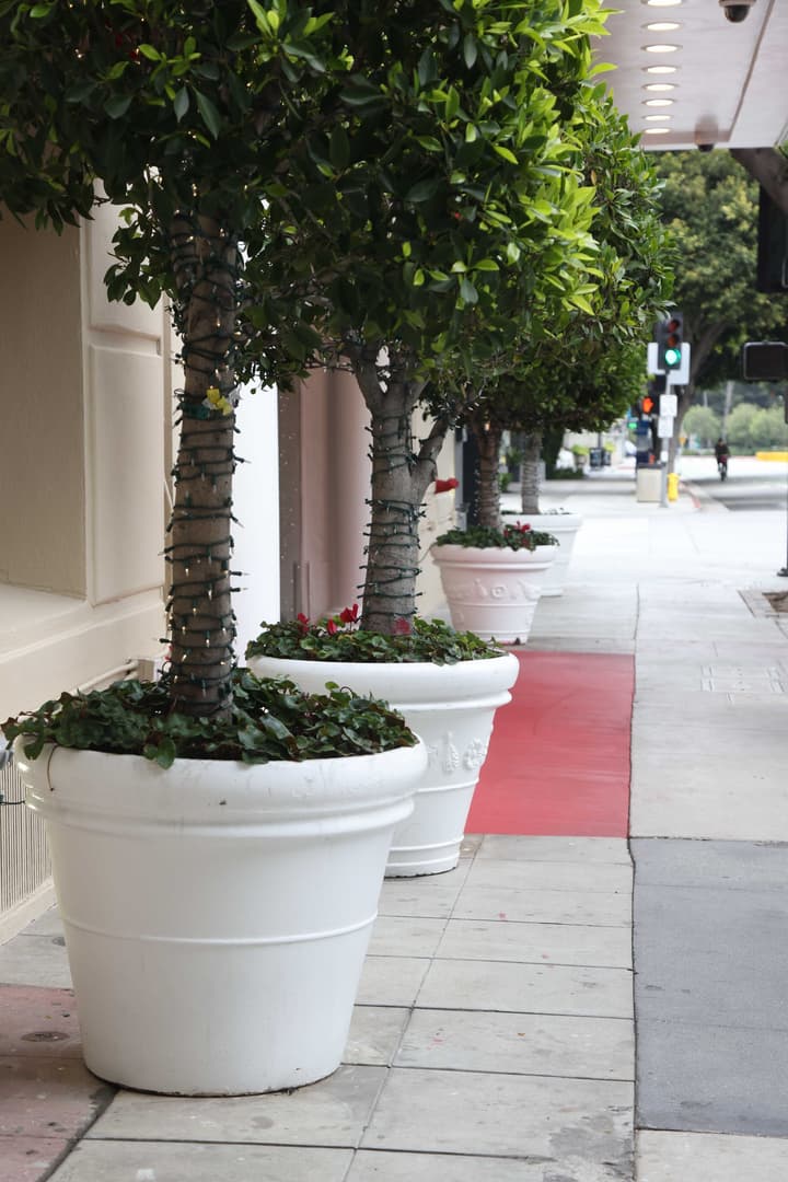 Hotel Carmel