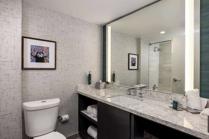 DoubleTree Suites by Hilton Austin Downtown Capitol