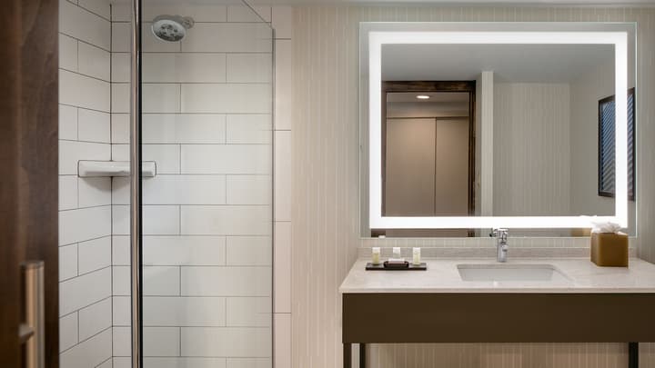 Embassy Suites by Hilton Dallas Love Field