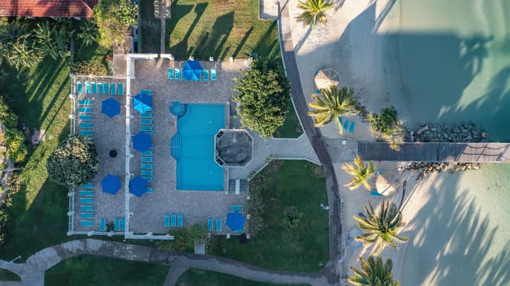 Catalonia Montego Bay - All Inclusive