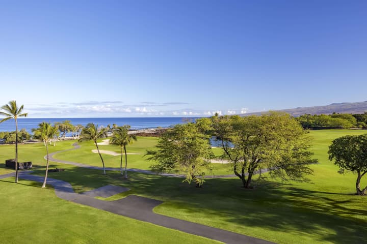 Fairmont Orchid