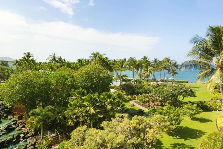 Fairmont Orchid