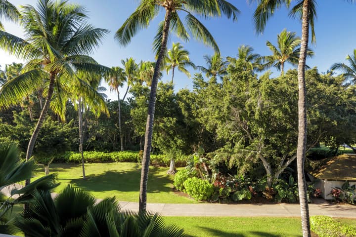 Fairmont Orchid