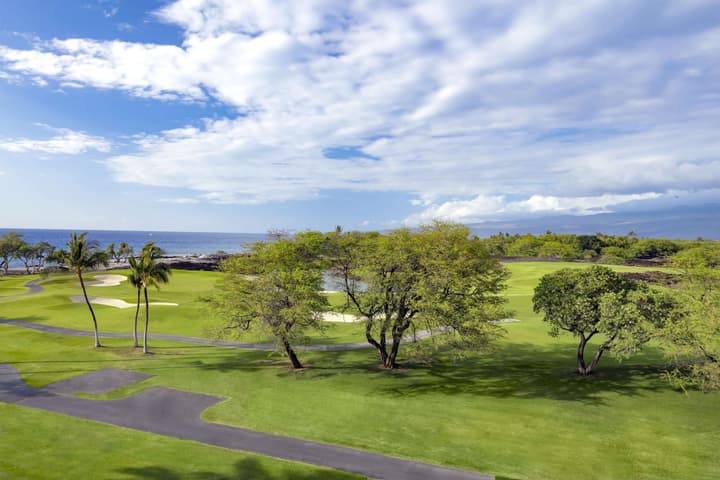 Fairmont Orchid