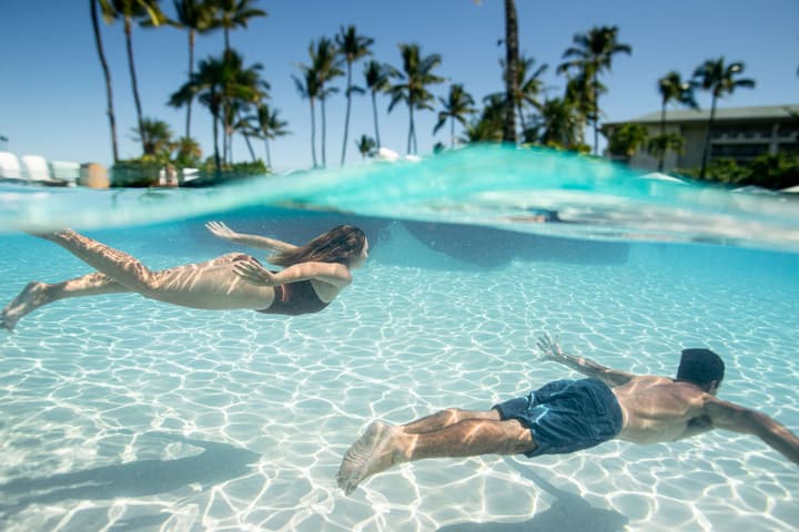 Fairmont Orchid