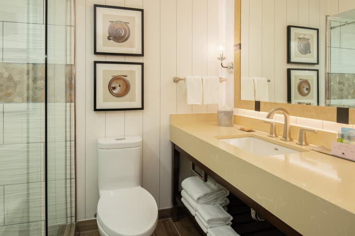 Edgewater Missoula, Tapestry Collection by Hilton