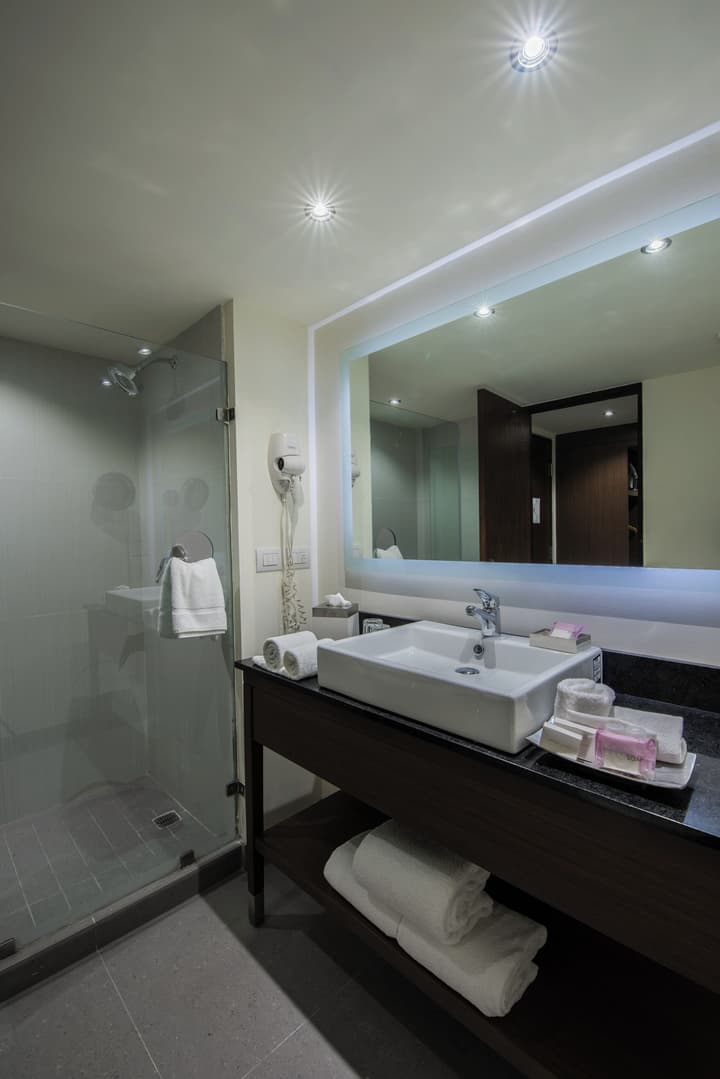 Holiday Inn Guadalajara Expo by IHG
