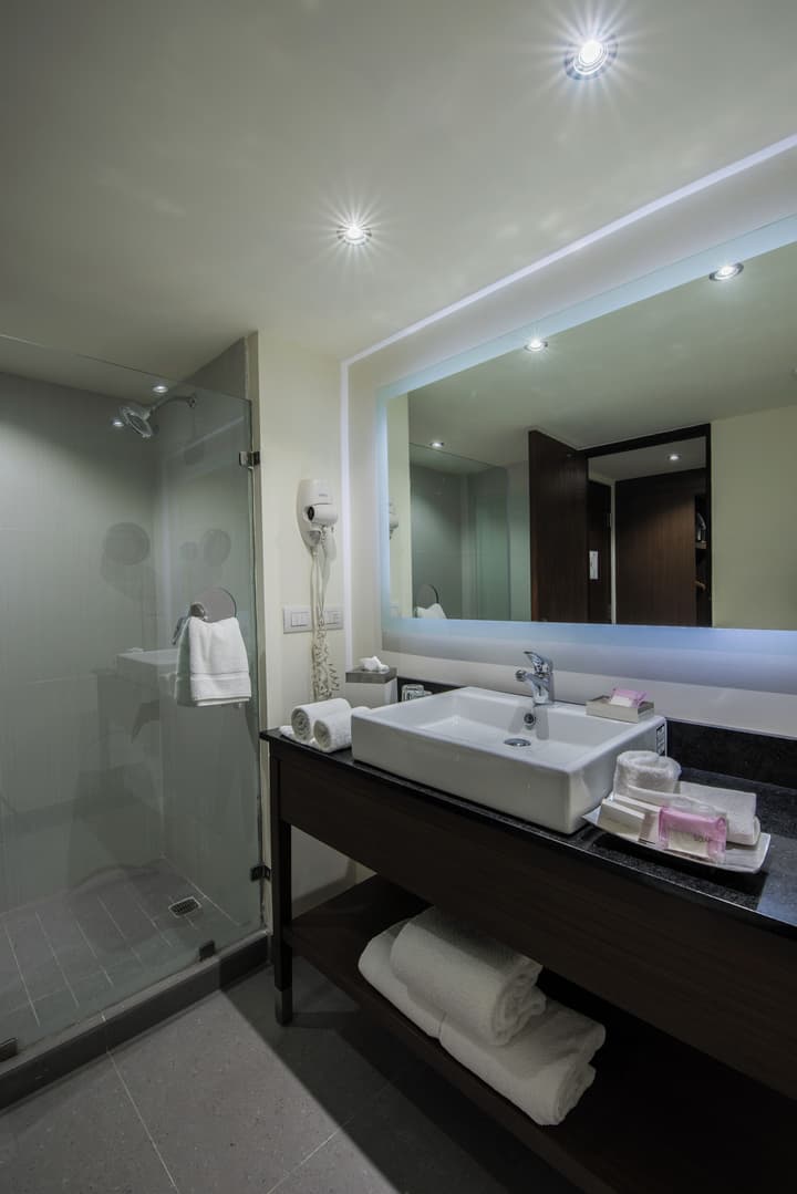 Holiday Inn Guadalajara Expo by IHG