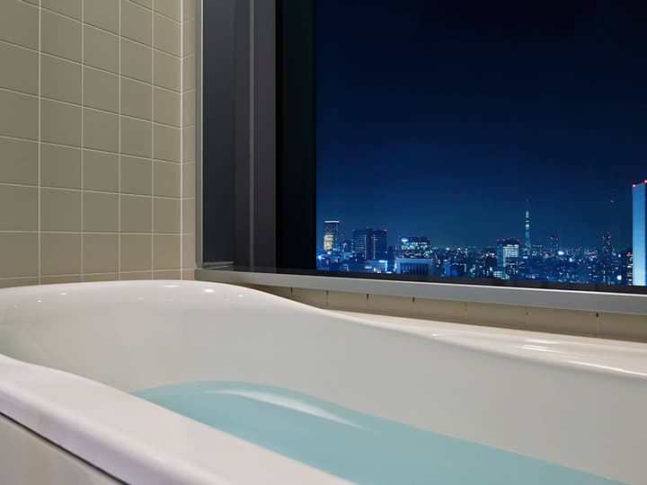 Mitsui Garden Hotel Ginza Premier