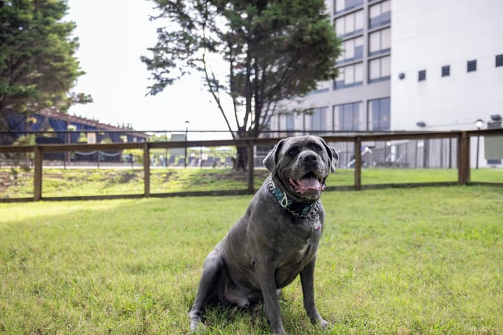 Delta Hotels by Marriott Nashville Airport
