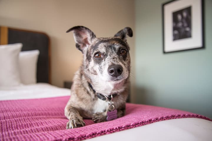 Delta Hotels by Marriott Nashville Airport