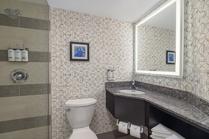 Holiday Inn Toronto Downtown Centre by IHG