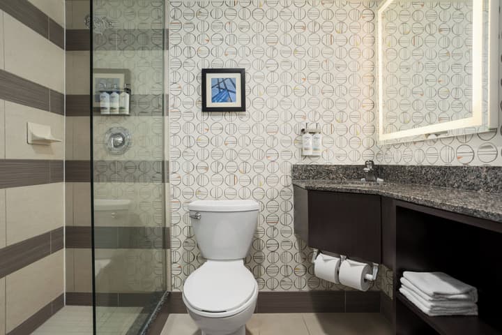 Holiday Inn Toronto Downtown Centre by IHG