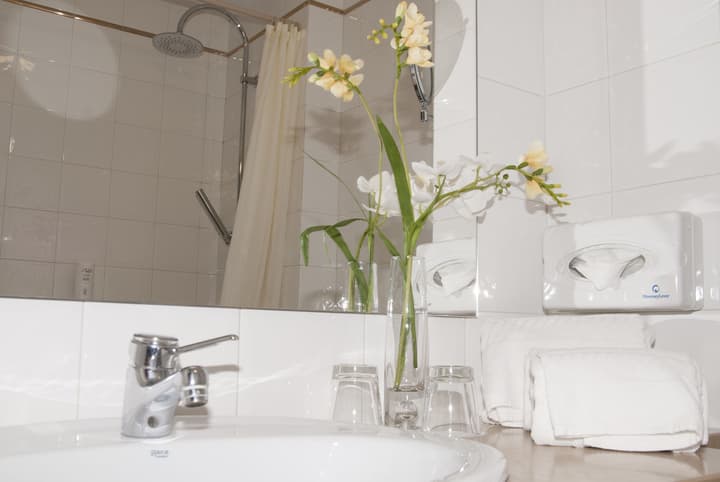 Hotel Rainha D. Amelia, Arts & Leisure