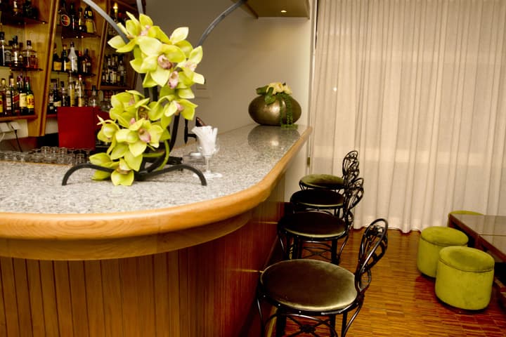 Hotel Rainha D. Amelia, Arts & Leisure