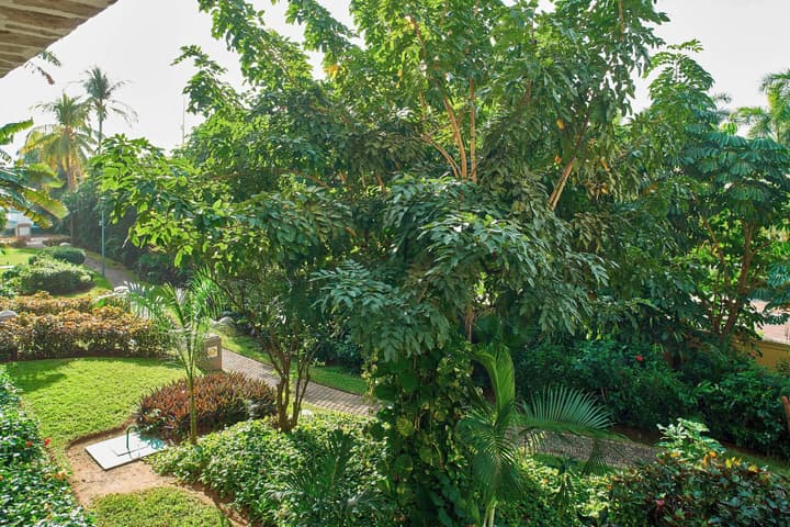 Marriott Puerto Vallarta Resort & Spa
