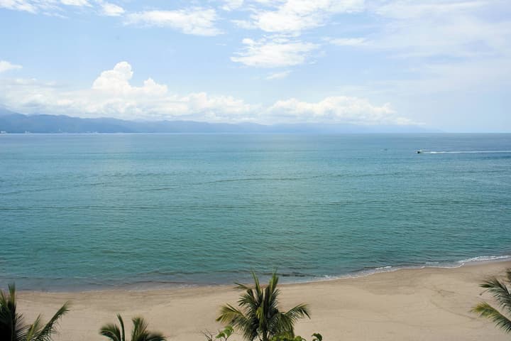 Marriott Puerto Vallarta Resort & Spa