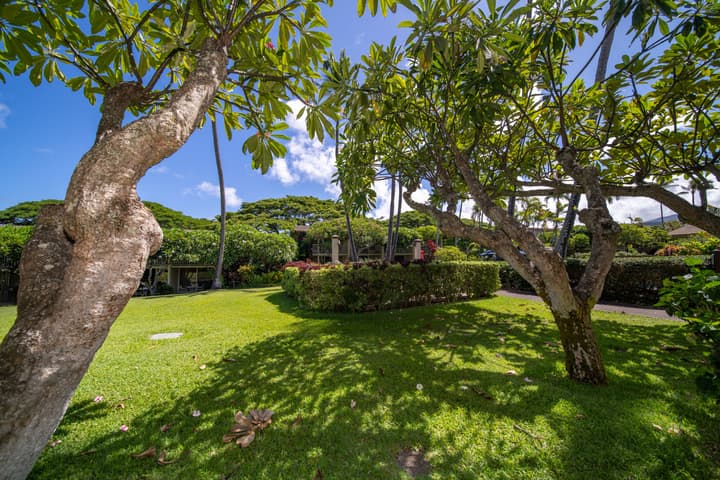 Napili Shores Maui by OUTRIGGER
