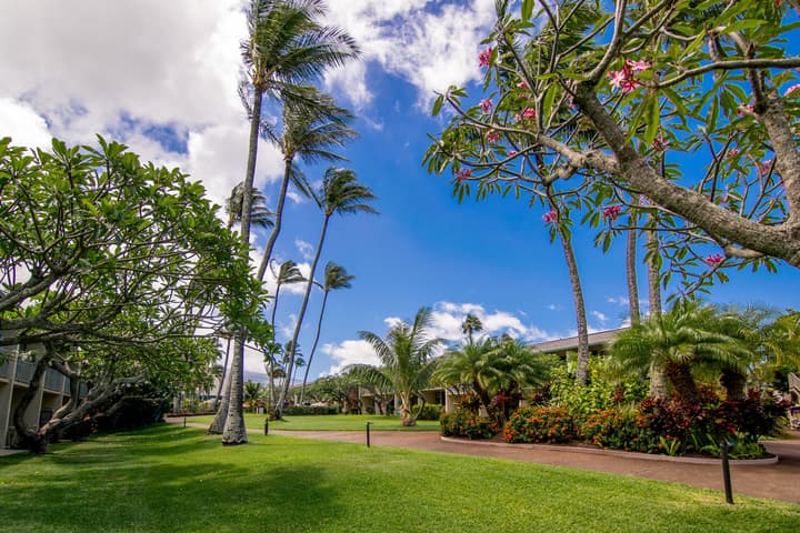 Napili Shores Maui by OUTRIGGER
