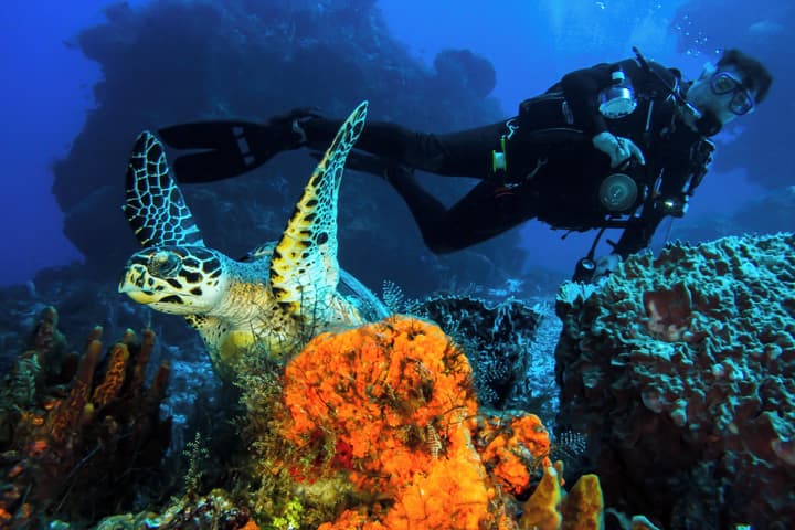 Cozumel Palace - All-Inclusive