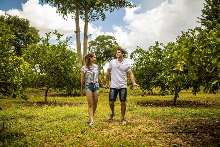 Hacienda Uxmal Plantation & Museum
