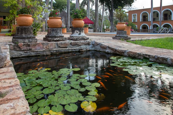 Hacienda Uxmal Plantation & Museum
