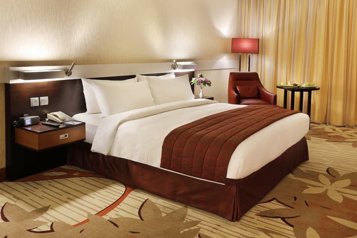 Excelsior Hotel Downtown