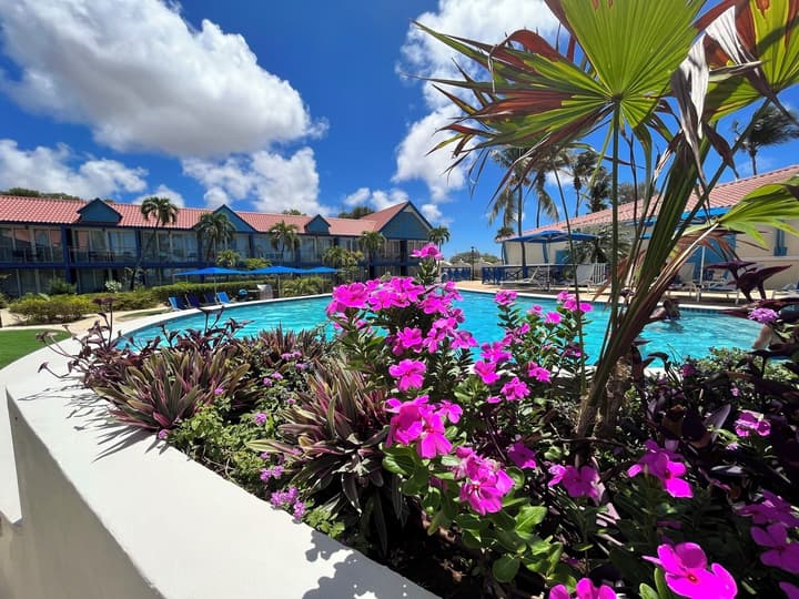 Divi Flamingo Beach Resort & Casino