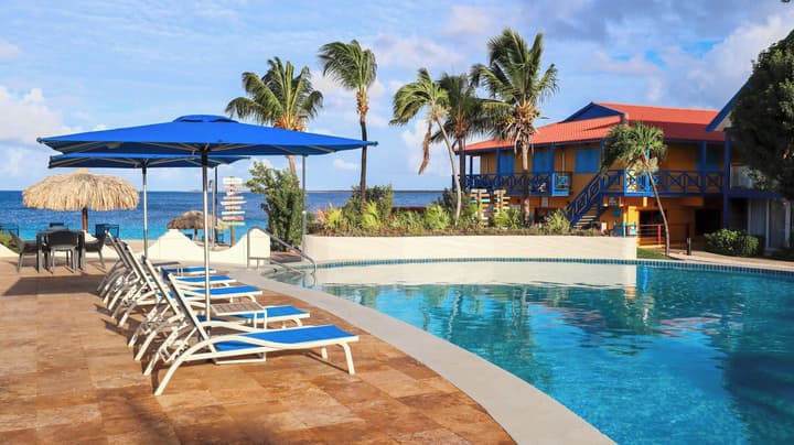 Divi Flamingo Beach Resort & Casino