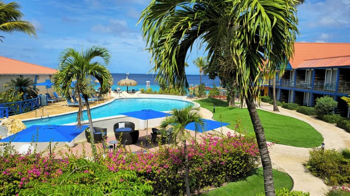 Divi Flamingo Beach Resort & Casino