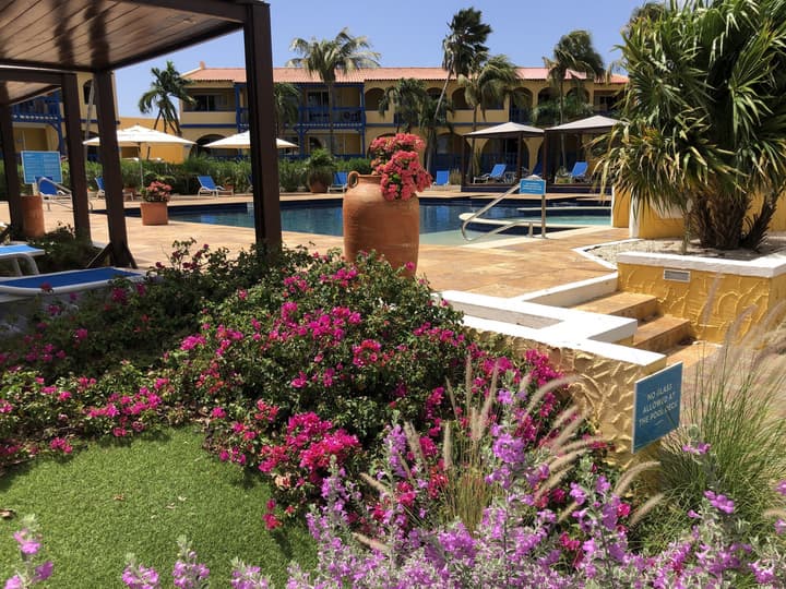 Divi Flamingo Beach Resort & Casino