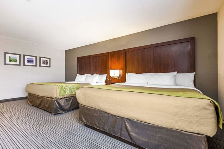 Comfort Inn & Suites