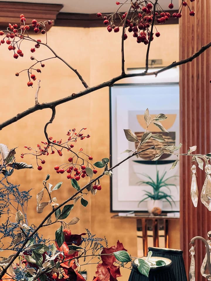 Maison Astor Paris, Curio Collection by Hilton
