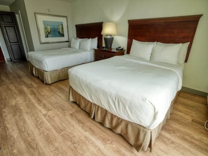 Treasure Island Hotel and Marina