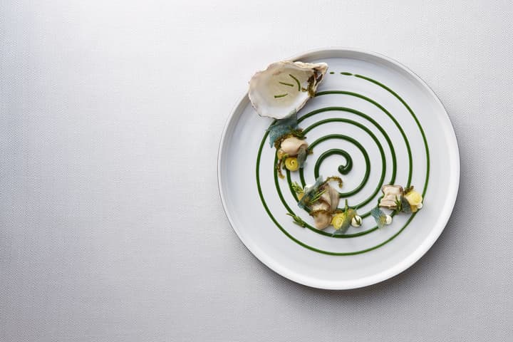 Scotty + Emily Hotel Ulm, Sure Hotel Collection by BW