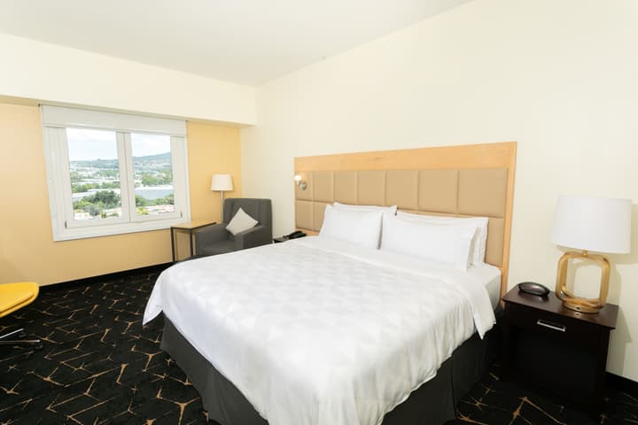 Holiday Inn San Salvador by IHG